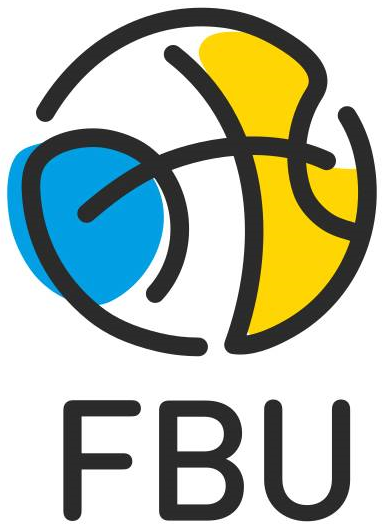 Ukraine 2013-Pres Primary Logo iron on heat transfer